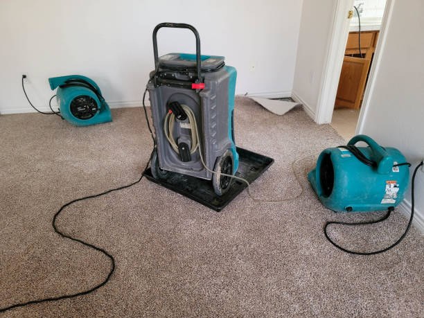 Best Water damage contractors near me  in Calhoun City, MS