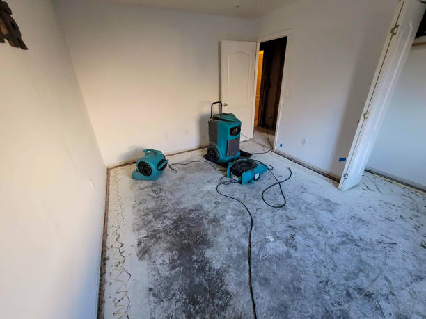 Carpet water damage restoration in MS