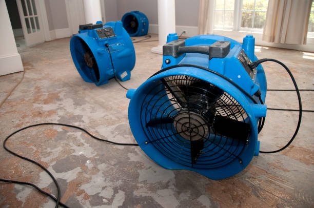 Best Sewage cleanup and water damage restoration  in Calhoun City, MS
