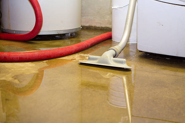 Best Commercial water damage restoration  in Calhoun City, MS